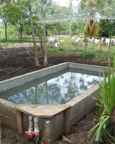 Alternativas para la Ganadería Sostenible y la Conservación de la Biodiversidad en sitio Garachiné, microcuenca del río San Antonio, Parque Nacional Darién